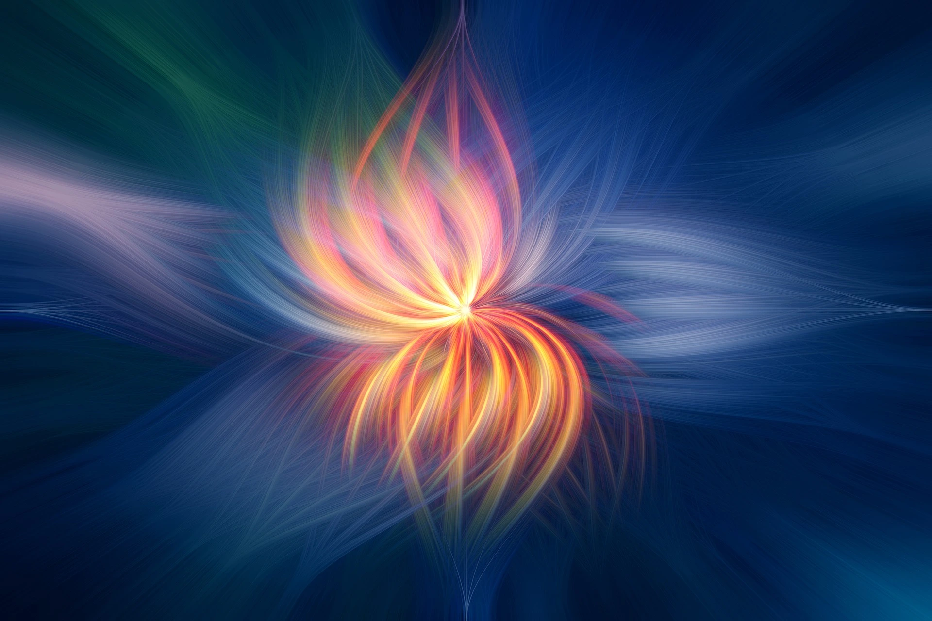 dimhou-flower-2536651_1920